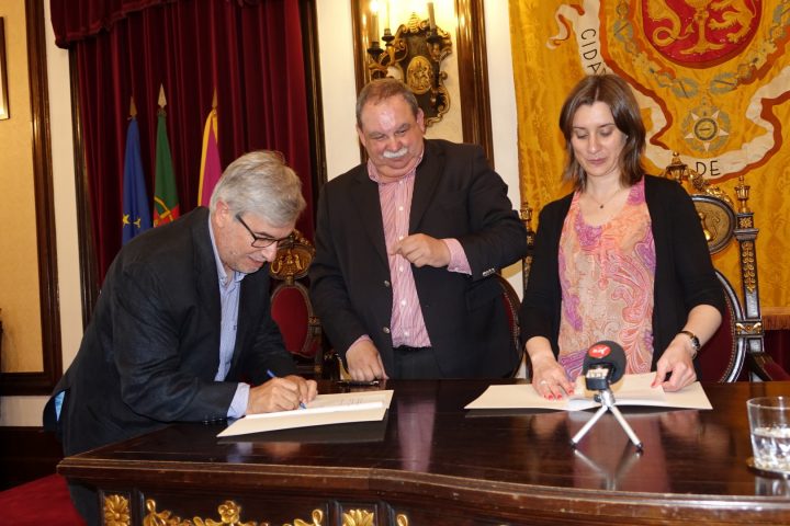 Protocolos 173 Large